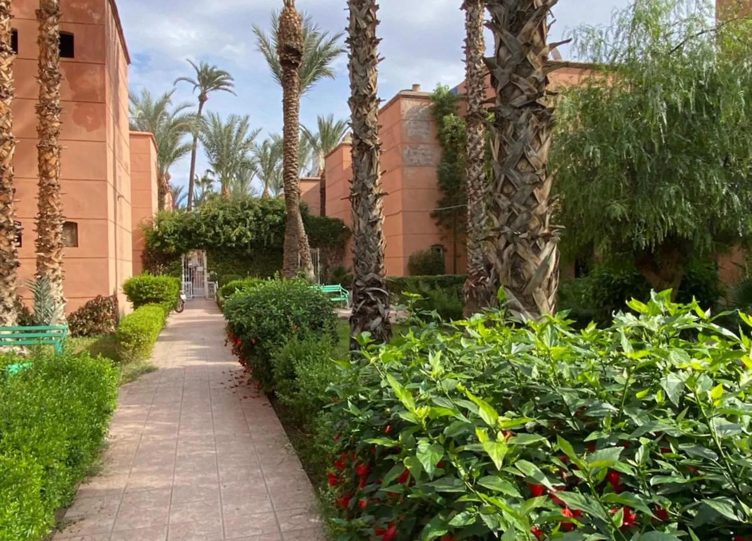 Riyad Piscine Interieure Privative Marrakesh Riad